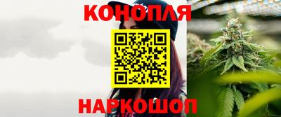 дмт Славгород